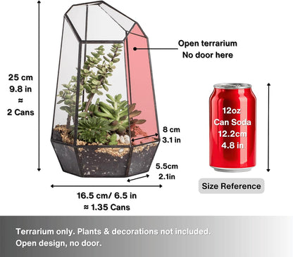 Geometric Plants Terrarium Planter - Glass Terrarium for Succulent, Cacti - 6.5X5.7X9.8 Inches - Indoor Tabletop Irregular Opened Container Pot for Home, Garden, Office Decor, Black (No Plants)