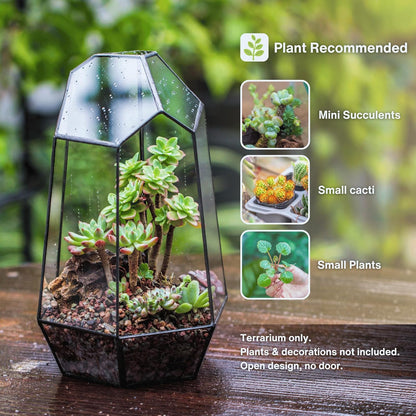 Geometric Plants Terrarium Planter - Glass Terrarium for Succulent, Cacti - 6.5X5.7X9.8 Inches - Indoor Tabletop Irregular Opened Container Pot for Home, Garden, Office Decor, Black (No Plants)